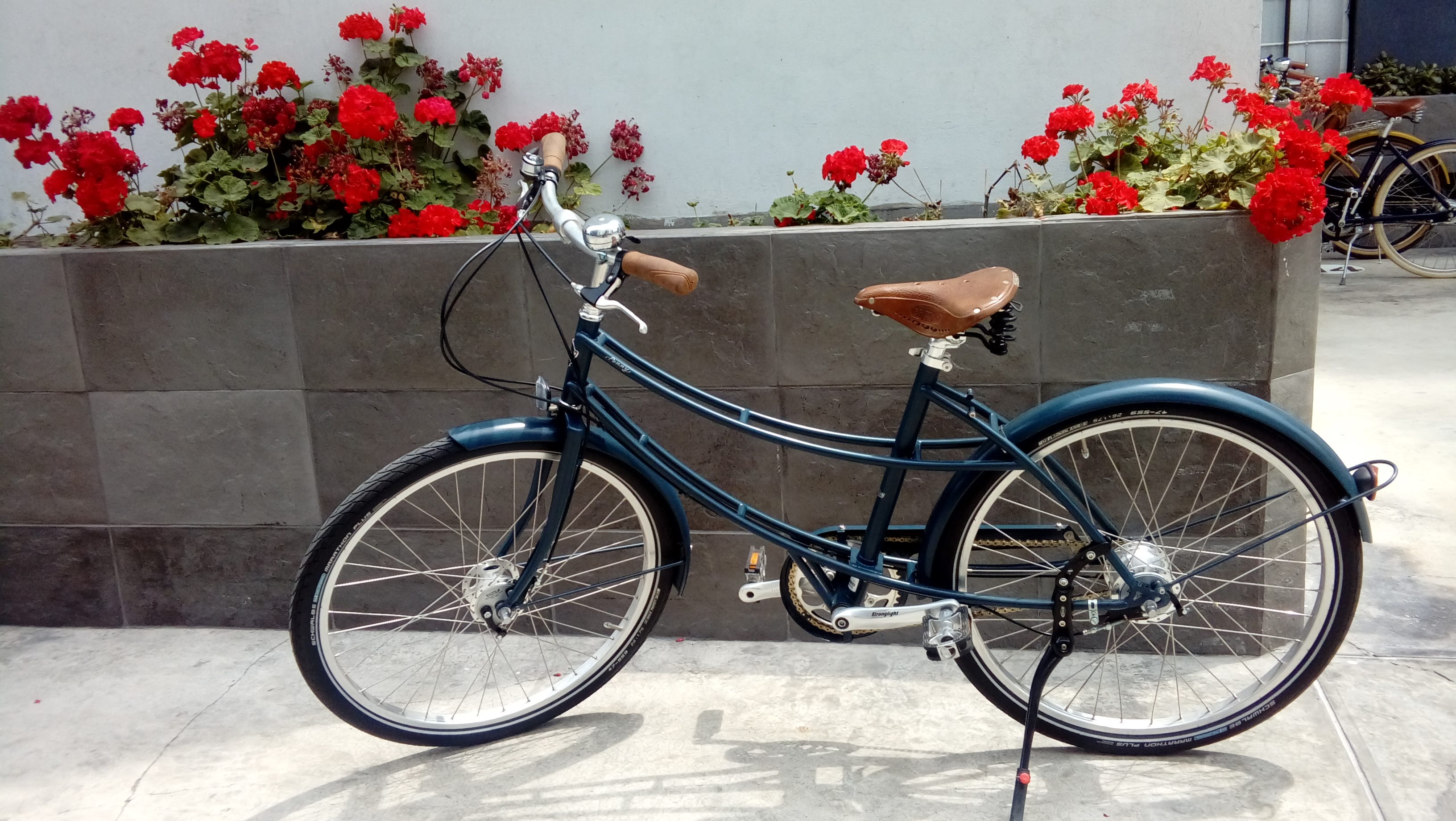 BLUE PASHLEY